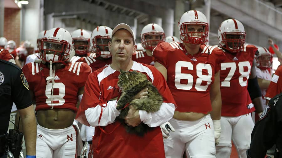 Bo Pelini and cat