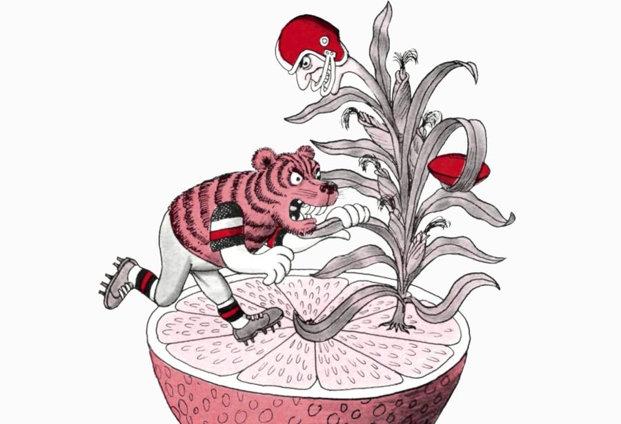 Bowl preview illustration